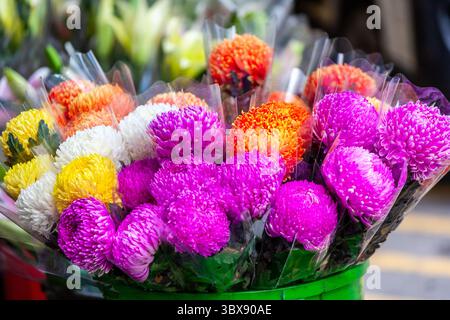 Ein romantischer Blumenstrauß. China Aster, Aster Chinensis, Aster Pompon, Aster Paeony. Sehr auffällig, China Aster (Callistephus chinensis) ist ein wunderschönes Jahr Stockfoto