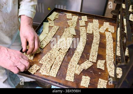 Cracker-Teiggurte, die ordentlich auf Backblechen angeordnet sind, sind bereit zum Backen in einer belebten Küche Stockfoto
