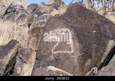 7. Januar 2021, New Mexico, USA: Ein Adler oder Habicht, der auf einem Basaltblock in der Three Rivers Petroglyph Site, New Mexico, gemeißelt wurde. (Kreditbild: © Jon G. Fuller/VW Pics via ZUMA Press Wire) Stockfoto