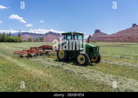 6. Juli 2021, Moab, Utah, Vereinigte Staaten: Ein Rechen kombiniert kleinere Heureihen in einer größeren Reihe, um die Anzahl der von der Ballenpresse benötigten Durchgänge zu reduzieren. (Kreditbild: © Jon G. Fuller/VW Pics via ZUMA Press Wire) Stockfoto