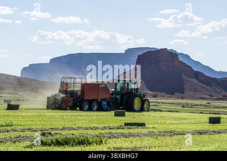 6. Juli 2021, Moab, Utah, USA: Pressen von Heu mit einem John Deere 7930 Traktor und einer GPT Twin Pak Ballenpresse auf einer Ranch im Süden Utahs. (Kreditbild: © Jon G. Fuller/VW Pics via ZUMA Press Wire) Stockfoto