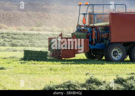 6. Juli 2021, Moab, Utah, USA: Pressen von Heu mit einem John Deere 7930 Traktor und einer GPT Twin Pak Ballenpresse auf einer Ranch im Süden Utahs. (Kreditbild: © Jon G. Fuller/VW Pics via ZUMA Press Wire) Stockfoto