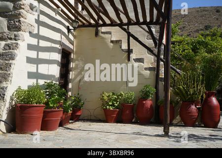 Kreta, Griechenland, 21. Juni 2024: Moni (Kloster) Kallergi: Eine Sammlung von roten Tontöpfen, die entlang einer Steinmauer angeordnet sind, beherbergt verschiedene Pflanzen und Blumen Stockfoto