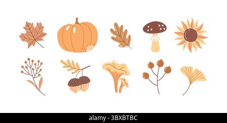 Niedliches handgezeichnetes Herbstclipart Set Kürbis, Pilze, Blätter, Acorn und Fall Botanische Elemente Stock Vektor
