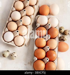 Öffnen Sie Eierboxen mit verschiedenen Eiern auf hellem Hintergrund, frische Bio-Hühnereier in Kartonpackung oder Eierbehälter. Draufsicht. Stockfoto