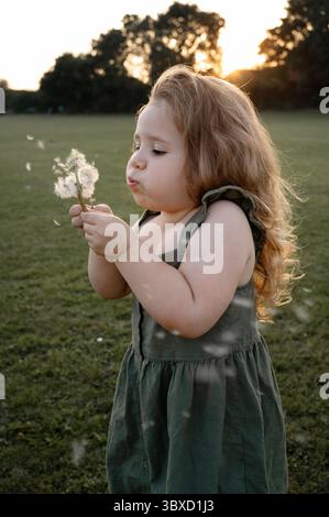 Ein Mädchen, das im Abendlicht auf einen Löwenzahn bläst. Stockfoto