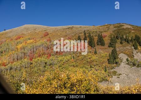 Herbstlicher Hügel im Big Cottonwood Canyon in der Nähe von Brighton, Utah Stockfoto