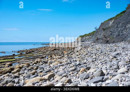Fossil Beach, Lyme Regis, Dorset, England Stockfoto