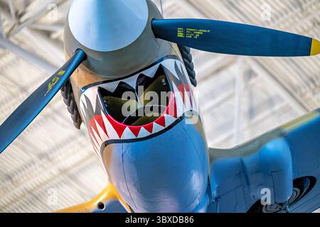 CHANTILLY, Virginia — das Curtiss P-40E Warhawk Kampfflugzeug zeigt die unverwechselbare Haifischschnasen-Kunst, die mit den Flying Tigers im Boeing Aviation Hangar im Steven F. Udvar-Hazy Center assoziiert ist. Dieses einmotorige, einsitzige Jagdflugzeug erwies sich in der ersten Hälfte des Zweiten Weltkriegs als vielseitig und diente in verschiedenen Theatern, darunter in China, wo General Claire Chennault's American Volunteer Group gegen japanische Streitkräfte flog. Curtiss-Wright baute dieses Flugzeug als Modell 87-A3 und lieferte es 1941 als Kittyhawk I nach Kanada, wo es mit der No. 111 Squadron der Roya diente Stockfoto