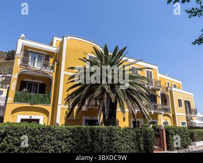 Ein großes schönes Haus mit Palmen davor. Stockfoto