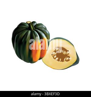 acorn Squash Illustration vektorbasierte Zeichnung Vol 01 Stock Vektor