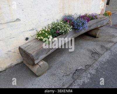 Ein kreativer Blumentrog mit bunten Blumen. Stockfoto
