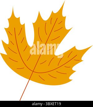 Ahorn Herbstgoldblatt isoliert auf transparentem Hintergrund. Element für Saison-Design. Stock Vektor