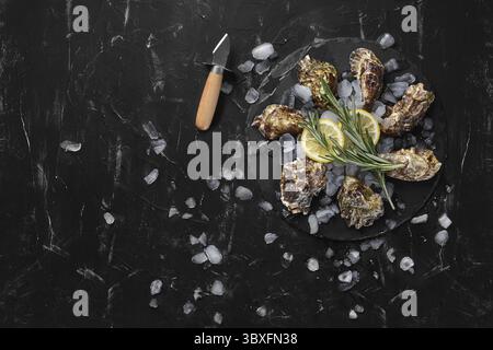 Frische und köstliche geschlossen Austern, Eis, Zitrone und einen grünen Zweig Lavendel auf einem runden Schiefer, schwarzer Stein strukturierten Hintergrund. Auster Messer ist die Verlegung in der Nähe von Stockfoto