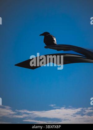 Silhouette einer Krähe auf moderner Architektur vor blauem Himmel, Stockfoto