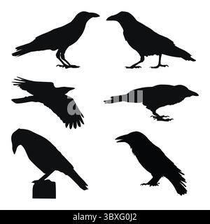 Krähenhandzeichnung Silhouetten weißer Hintergrund Stock Vektor