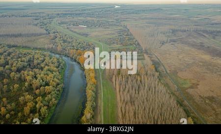 Über der Ansicht, Reihen von Bäumen um Sumpflandschaften Vegetation, Waldplantagen, landwirtschaftliche Plantagen, Ackerland, Wald, die Natur im Herbst, severa Stockfoto
