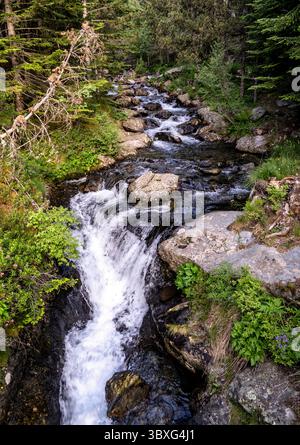 Ein ruhiger Gebirgsbach, der über Felsen fließt, umgeben von üppigem Grün und Bäumen. Das Wasser kaskadiert sanft und schafft eine friedliche Naturkulisse. Stockfoto