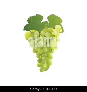 Trauben Frucht Slice Illustration auf weißem Hintergrund Vol 02 Stock Vektor