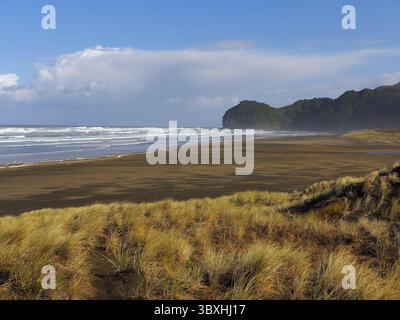 Windiger sonniger Tag am Strand mit braunem Sand. Bewaldete Berge im Hintergrund. Grünes Gras auf der Düne vom Wind bewegt. Moody Landschaft. Stockfoto