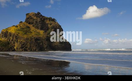 Windiger sonniger Tag am Strand mit braunem Sand. Bewaldete Berge im Hintergrund. Grünes Gras auf der Düne vom Wind bewegt. Moody Landschaft. Stockfoto