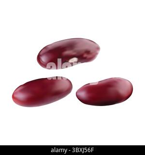 Kidney Beans Illustration auf weißem Hintergrund vol 01 Stock Vektor
