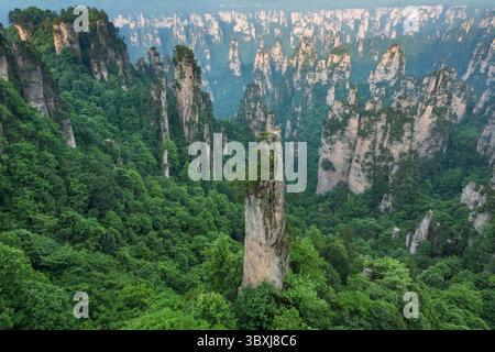 22. Mai 2013, Zhanjiajie, Provinz Hunan, China: Quarzit-Sandsteinsäulen im Tianzi-Gebirge im Steinwald des Zhangjiajie National Forest Park, China. (Kreditbild: © Jon G. Fuller/VW Pics via ZUMA Press Wire) Stockfoto
