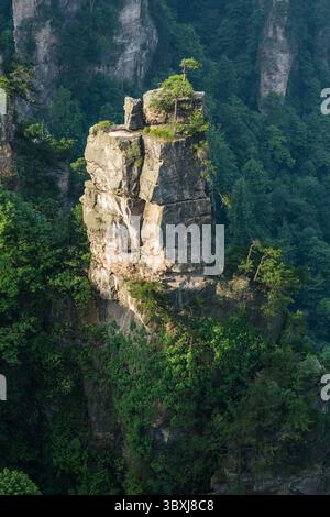 22. Mai 2013, Zhanjiajie, Provinz Hunan, China: Quarzit-Sandsteinsäulen im Tianzi-Gebirge im Steinwald des Zhangjiajie National Forest Park, China. (Kreditbild: © Jon G. Fuller/VW Pics via ZUMA Press Wire) Stockfoto