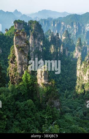 22. Mai 2013, Zhanjiajie, Provinz Hunan, China: Quarzit-Sandsteinsäulen im Tianzi-Gebirge im Steinwald des Zhangjiajie National Forest Park, China. (Kreditbild: © Jon G. Fuller/VW Pics via ZUMA Press Wire) Stockfoto