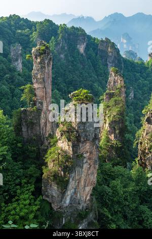 22. Mai 2013, Zhanjiajie, Provinz Hunan, China: Quarzit-Sandsteinsäulen im Tianzi-Gebirge im Steinwald des Zhangjiajie National Forest Park, China. (Kreditbild: © Jon G. Fuller/VW Pics via ZUMA Press Wire) Stockfoto