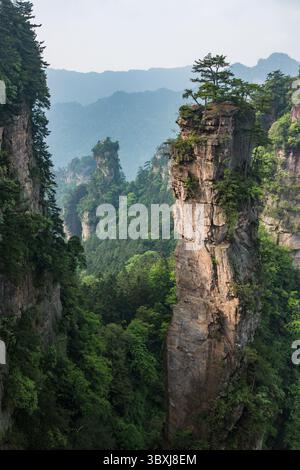 19. Mai 2014, Zhanjiajie, Provinz Hunan, China: Bäume wachsen auf den Quarzitsandsteinsäulen des Steinwaldes des Zhangjiajie National Forest Park, China. (Kreditbild: © Jon G. Fuller/VW Pics via ZUMA Press Wire) Stockfoto