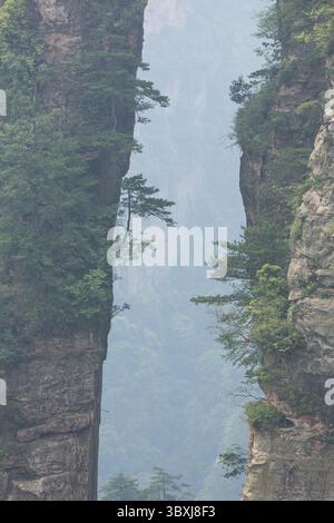 19. Mai 2014, Zhanjiajie, Provinz Hunan, China: Bäume wachsen auf den Quarzitsandsteinsäulen des Steinwaldes des Zhangjiajie National Forest Park, China. (Kreditbild: © Jon G. Fuller/VW Pics via ZUMA Press Wire) Stockfoto