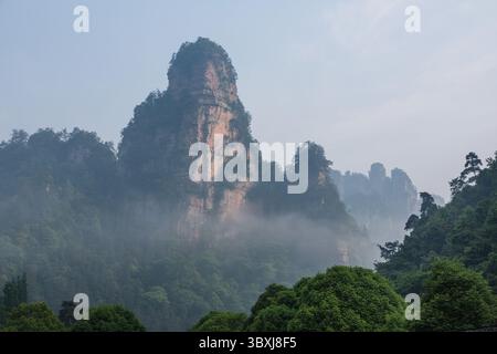 19. Mai 2014, Zhanjiajie, Provinz Hunan, China: Bäume wachsen auf den Quarzitsandsteinsäulen des Steinwaldes des Zhangjiajie National Forest Park, China. (Kreditbild: © Jon G. Fuller/VW Pics via ZUMA Press Wire) Stockfoto
