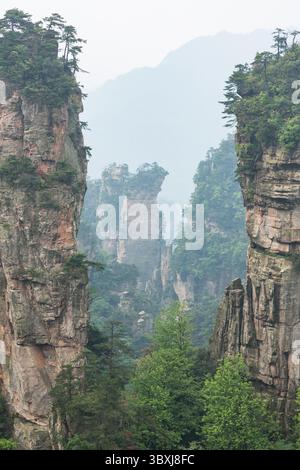 19. Mai 2014, Zhanjiajie, Provinz Hunan, China: Bäume wachsen auf den Quarzitsandsteinsäulen des Steinwaldes des Zhangjiajie National Forest Park, China. (Kreditbild: © Jon G. Fuller/VW Pics via ZUMA Press Wire) Stockfoto