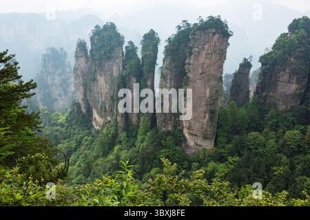 19. Mai 2014, Zhanjiajie, Provinz Hunan, China: Eine Gruppe von Sandsteinsäulen, genannt Five Finger Peak, im Huangshi Zhai-Sektor des Zhangjiajie-Nationalparks, China. (Kreditbild: © Jon G. Fuller/VW Pics via ZUMA Press Wire) Stockfoto