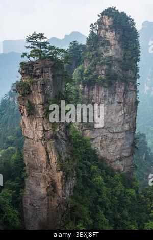 19. Mai 2014, Zhanjiajie, Provinz Hunan, China: Bäume wachsen auf den Quarzitsandsteinsäulen des Steinwaldes des Zhangjiajie National Forest Park, China. (Kreditbild: © Jon G. Fuller/VW Pics via ZUMA Press Wire) Stockfoto