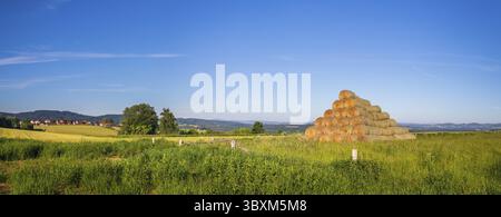 Strohballen auf einem Grasfeld, Landschaft mit Wiese, Wald und Hügel im Hintergrund, Sommertag mit klarem Himmel Stockfoto
