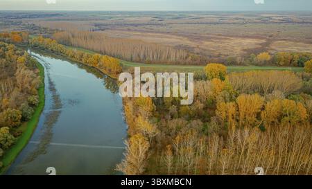 Über der Ansicht, Reihen von Bäumen um Sumpflandschaften Vegetation, Waldplantagen, landwirtschaftliche Plantagen, Ackerland, Wald, die Natur im Herbst, severa Stockfoto