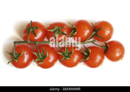 Mit Kirschtomaten bedeckte Tropfen auf weißem Hintergrund Stockfoto