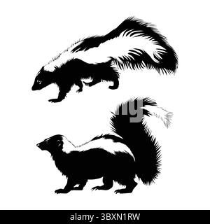 Set aus Skunk-Silhouette, Schwarz und weiß mit weißem Hintergrund Vol 02 Stock Vektor