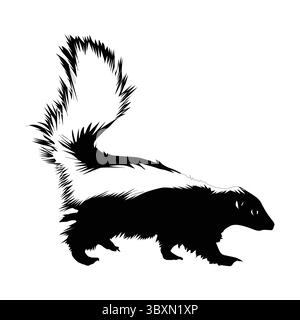 Set aus Skunk-Silhouette, Schwarz und weiß mit weißem Hintergrund Vol 04 Stock Vektor