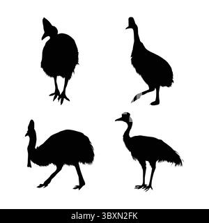Set aus schwarzen Silhouetten mit südlichem Kasuar Band 02 Stock Vektor