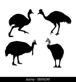Set aus schwarzen Silhouetten mit südlichem Kasuar Band 01 Stock Vektor