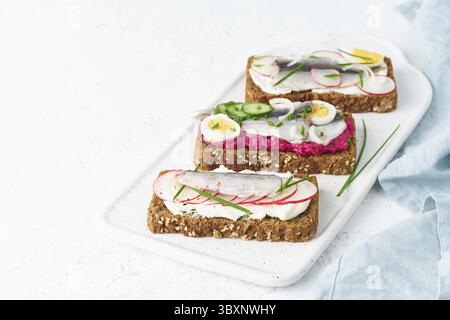 Herzhafter Smorrebrod, traditionelle dänische Sandwiches. Schwarzes Roggenbrot mit Sardellen, Rote Bete, Rettich, Eiern, Frischkäse auf grauer Platte auf weißem s Stockfoto