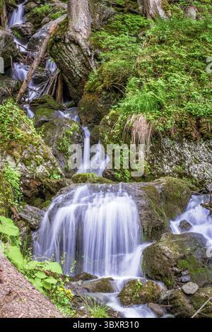 Waldbach, der über Felsen fließt, als kleiner Wasserfall Stockfoto