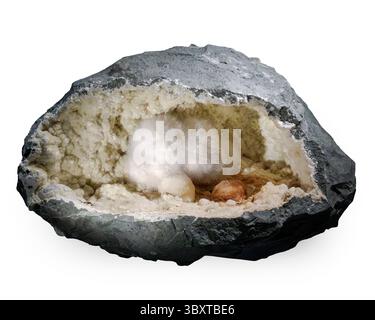 Okenit auf Basaltmatrix, Mumbai, Maharashtra, Indien Stockfoto