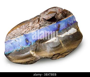 Opal in Eisensteinmatrix, Quilpie, Queensland, Australien Stockfoto