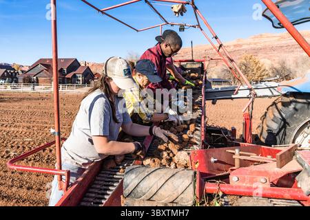 3. Dezember 2021: Die Arbeiter stehen auf der Rückseite des Potatorrohrs, während sie Kartoffeln von Schmutzklumpen trennen, die von der Ernte ausgegraben wurden. Moab, Utah. (Kreditbild: © Jon G. Fuller/VW Pics via ZUMA Press Wire) Stockfoto