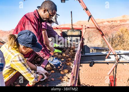 3. Dezember 2021: Die Arbeiter stehen auf der Rückseite des Potatorrohrs, während sie Kartoffeln von Schmutzklumpen trennen, die von der Ernte ausgegraben wurden. Moab, Utah. (Kreditbild: © Jon G. Fuller/VW Pics via ZUMA Press Wire) Stockfoto