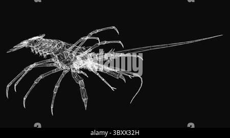 Ein 3D-Hummer mit Drahtdarstellung, bestehend aus weißen Linien auf schwarzem Hintergrund, mit detaillierten Krallen, segmentiertem Schwanz und langen Antennen. Das stilisierte Netz d Stock Vektor